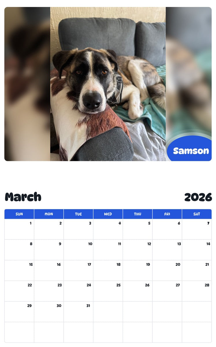 November 2025 - October 2026 Samson - Pawidols Pet Calendar