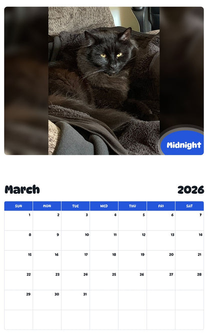 November 2025 - October 2026 Midnight - Pawidols Pet Calendar