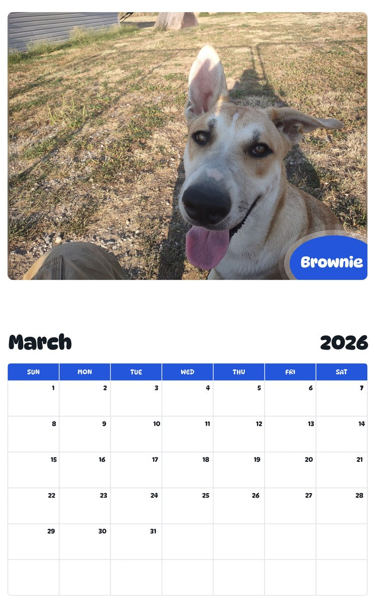 November 2025 - October 2026 Brownie - Pawidols Pet Calendar
