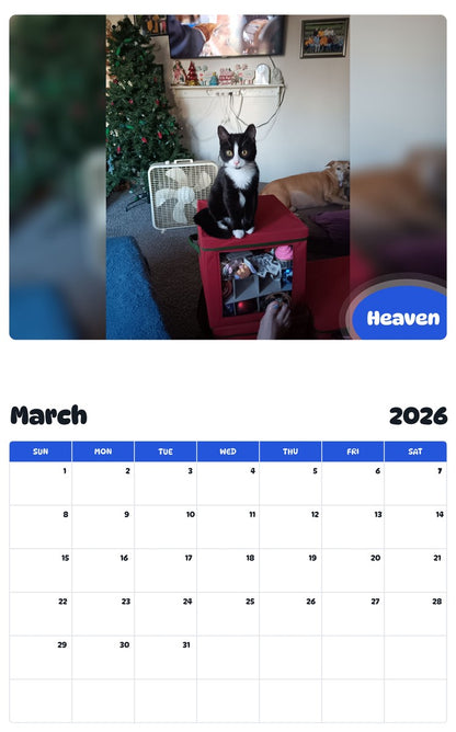 November 2025 - October 2026 Heaven - Pawidols Pet Calendar