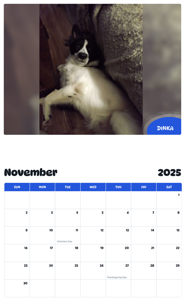 July 2025 - June 2026 Dinka - Pawidols Pet Calendar