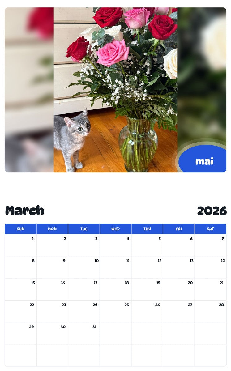 November 2025 - October 2026 mai - Pawidols Pet Calendar