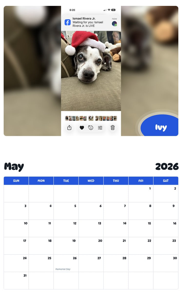 2026 - 2027 Ivy - Pawidols Pet Calendar