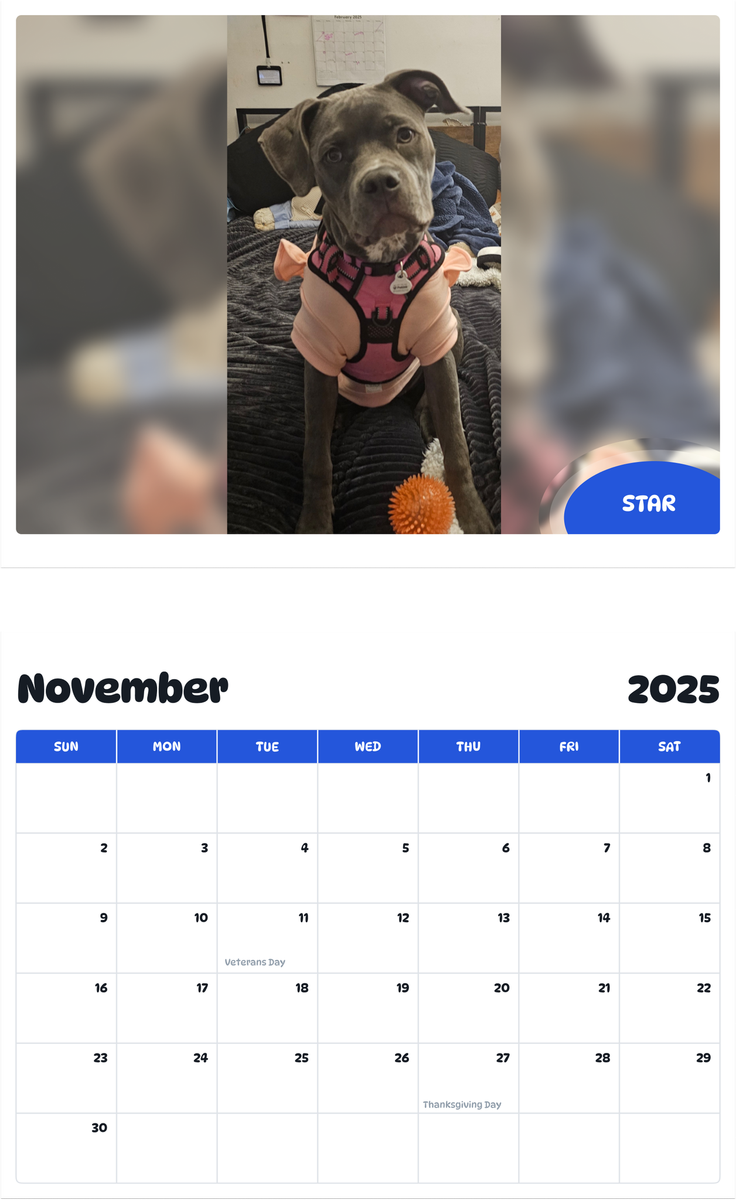 July 2025 - June 2026 Star - Pawidols Pet Calendar