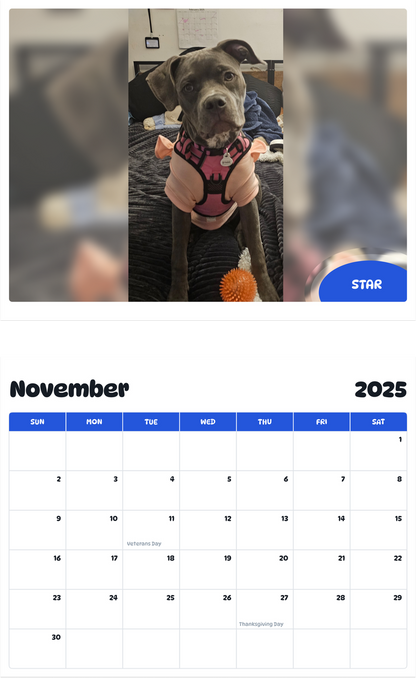 July 2025 - June 2026 Star - Pawidols Pet Calendar