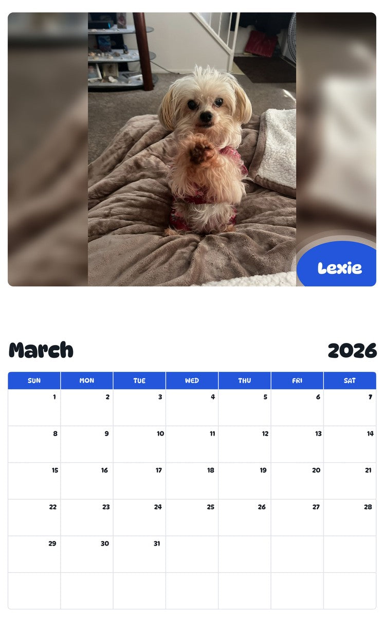 November 2025 - October 2026 Lexie - Pawidols Pet Calendar
