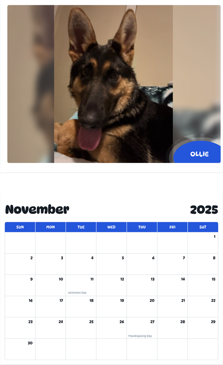 July 2025 - June 2026 Ollie - Pawidols Pet Calendar