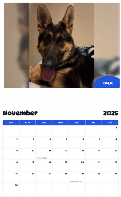 July 2025 - June 2026 Ollie - Pawidols Pet Calendar