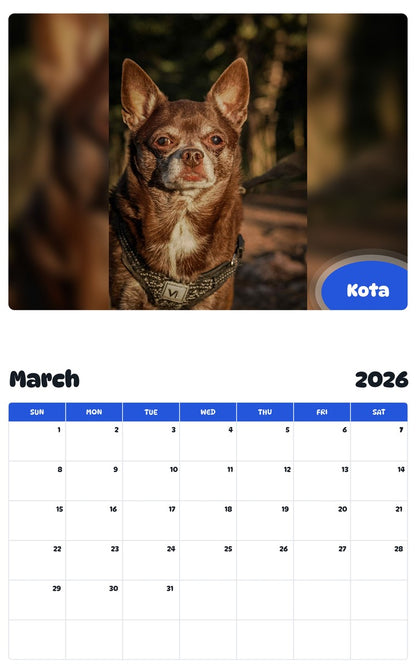November 2025 - October 2026 Kota - Pawidols Pet Calendar
