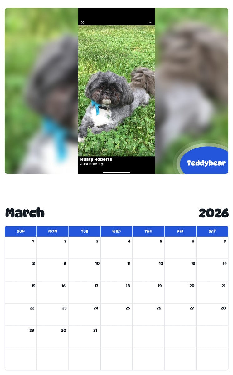 November 2025 - October 2026 Teddybear - Pawidols Pet Calendar