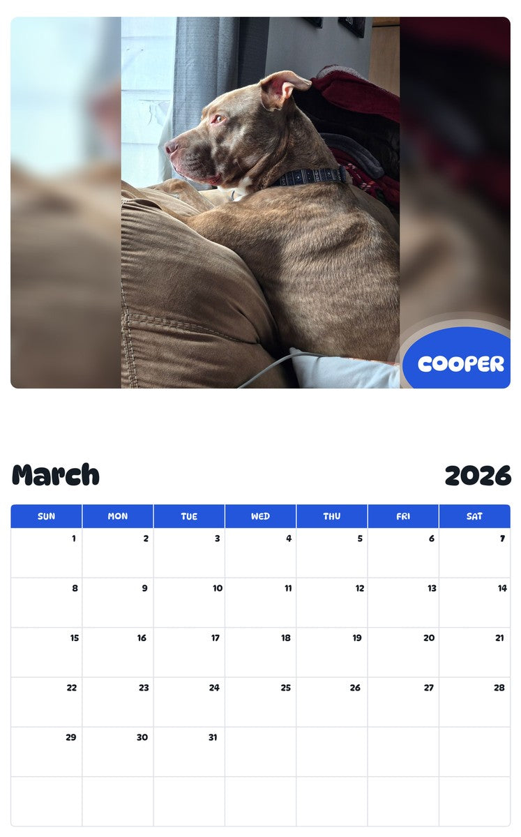 November 2025 - October 2026 COOPER - Pawidols Pet Calendar