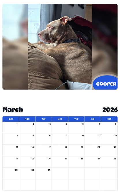 November 2025 - October 2026 COOPER - Pawidols Pet Calendar