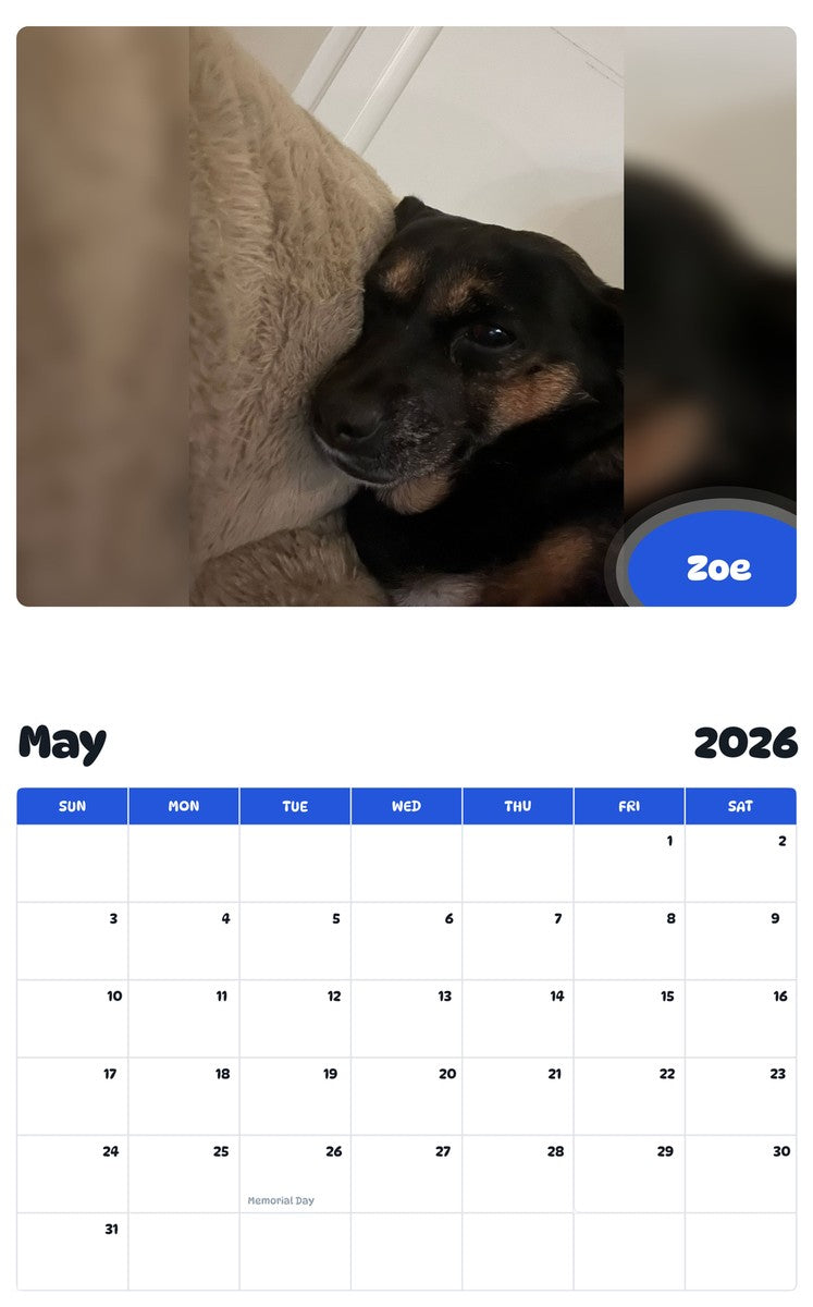 2026 - 2027 Zoe - Pawidols Pet Calendar