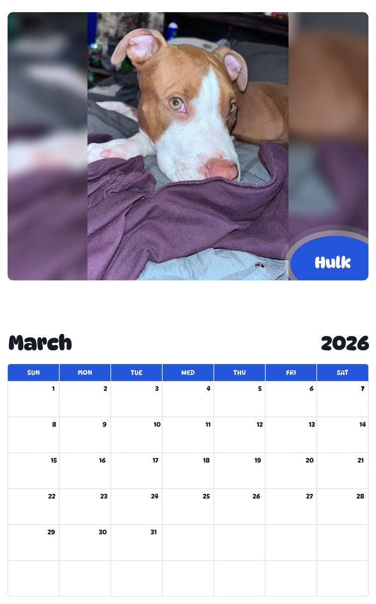 November 2025 - October 2026 Hulk - Pawidols Pet Calendar