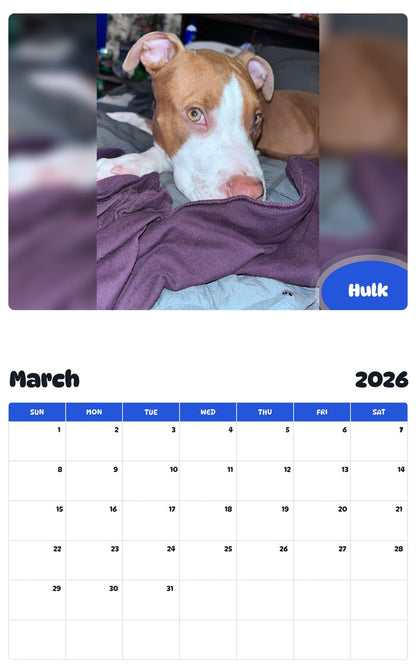November 2025 - October 2026 Hulk - Pawidols Pet Calendar