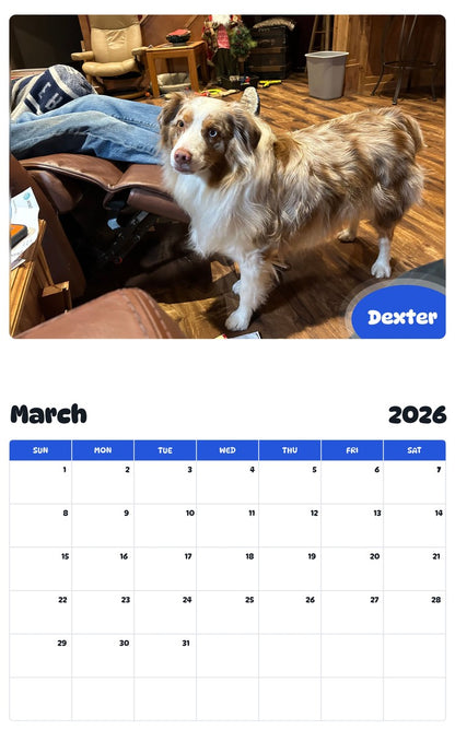 November 2025 - October 2026 Dexter - Pawidols Pet Calendar