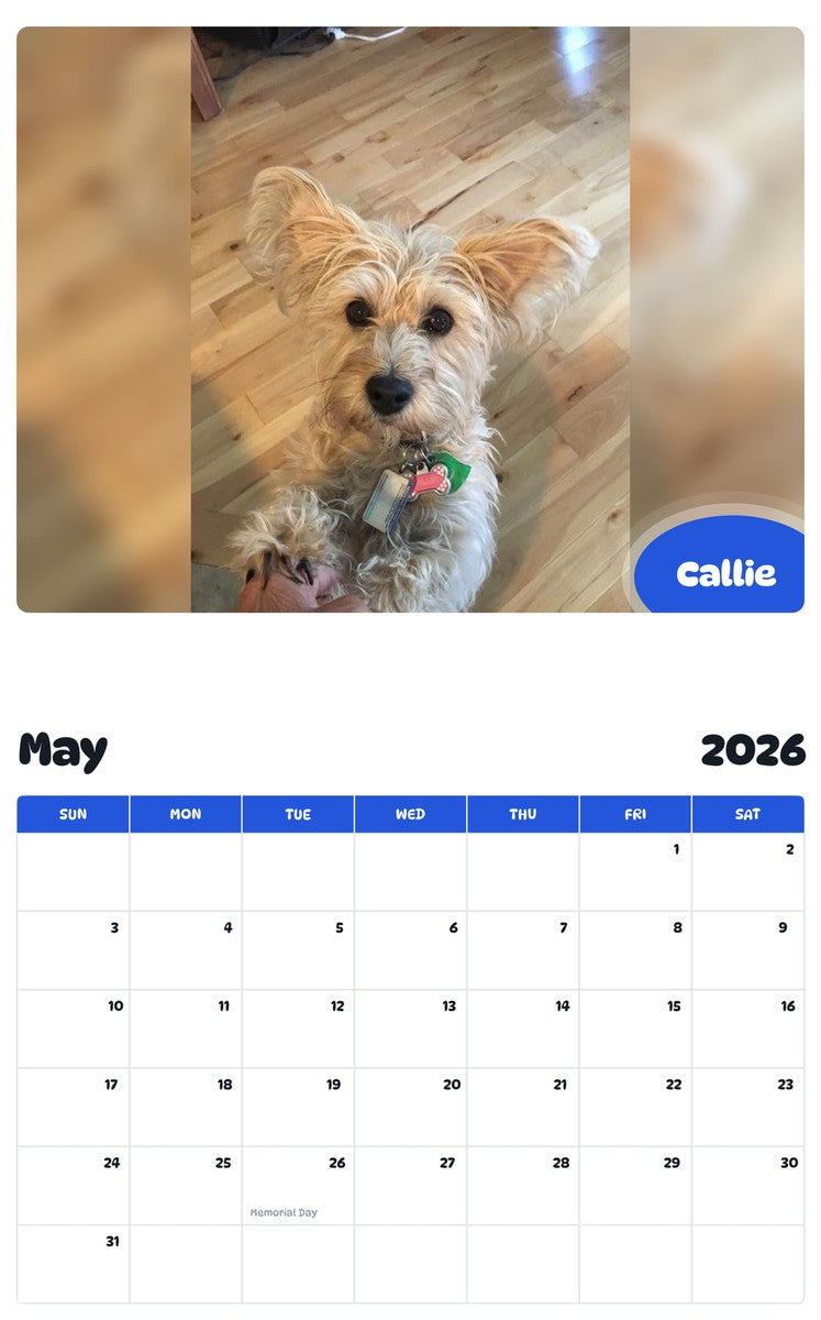 2026 - 2027 Callie - Pawidols Pet Calendar