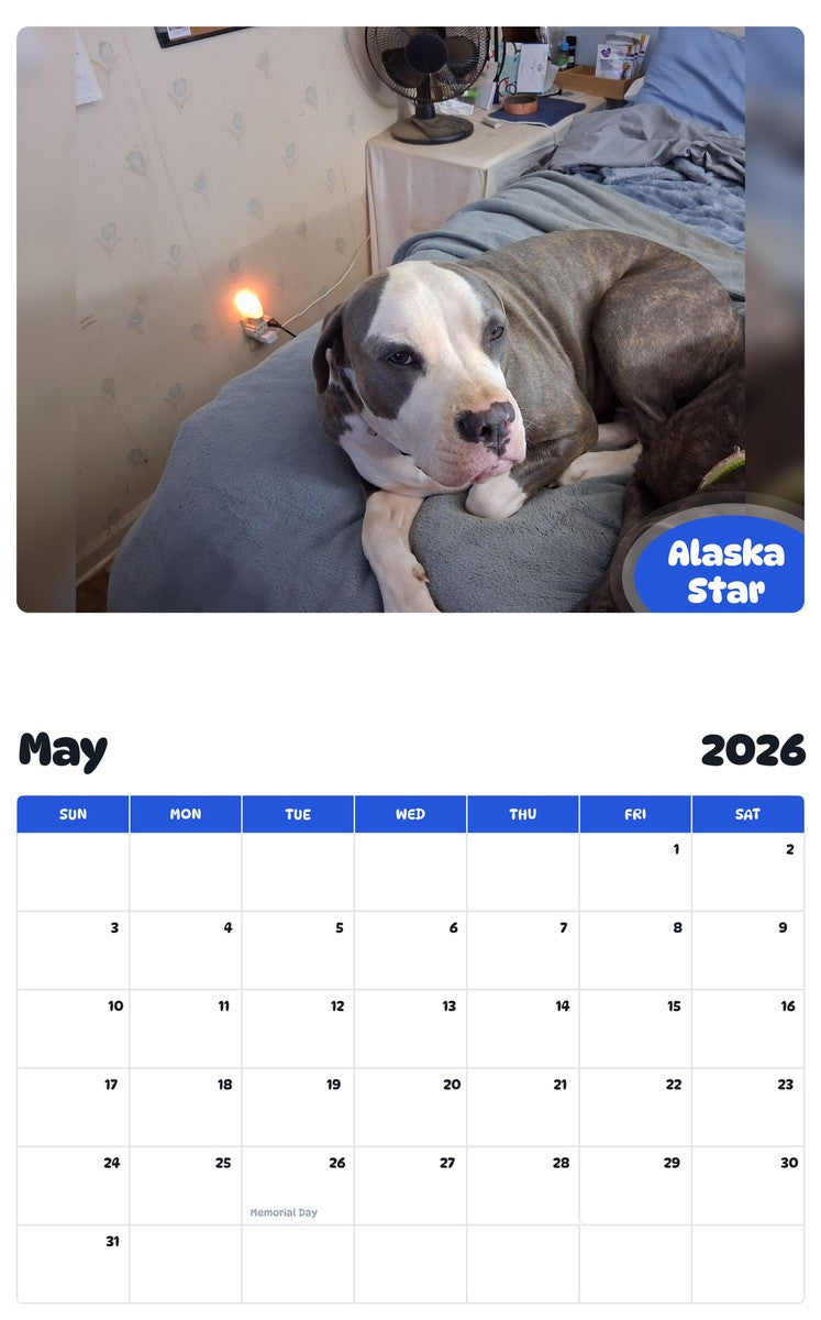 2026 - 2027 Alaska Star - Pawidols Pet Calendar
