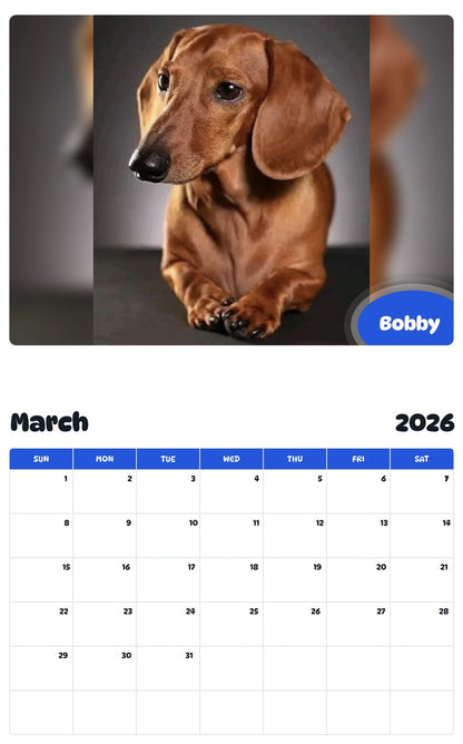 November 2025 - October 2026 Bobby - Pawidols Pet Calendar