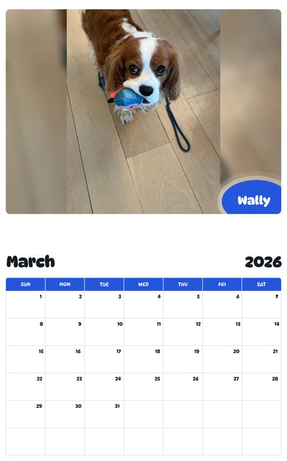 November 2025 - October 2026 Wally - Pawidols Pet Calendar