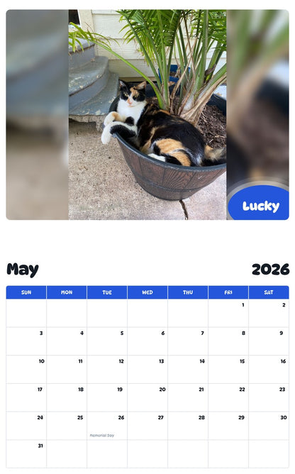 2026 - 2027 Lucky - Pawidols Pet Calendar