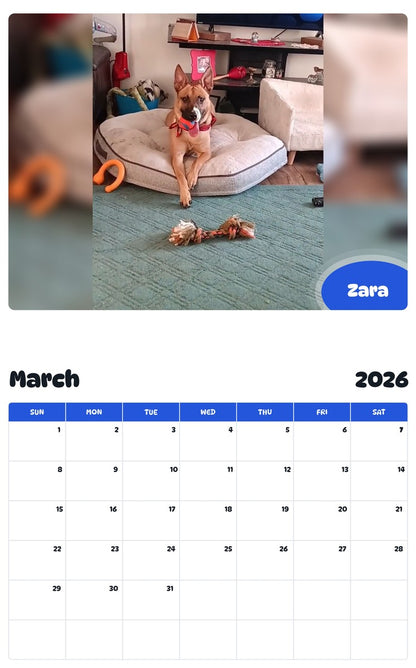 November 2025 - October 2026 Zara - Pawidols Pet Calendar