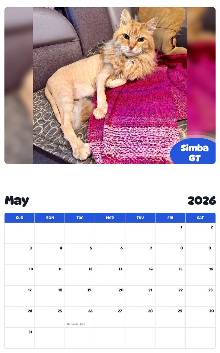 2026 - 2027 Simba GT - Pawidols Pet Calendar