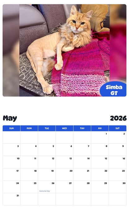 2026 - 2027 Simba GT - Pawidols Pet Calendar
