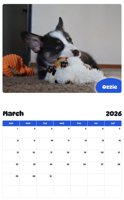 November 2025 - October 2026 Ozzie - Pawidols Pet Calendar