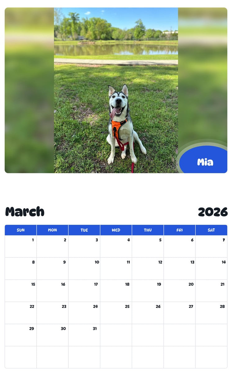 November 2025 - October 2026 Mia - Pawidols Pet Calendar