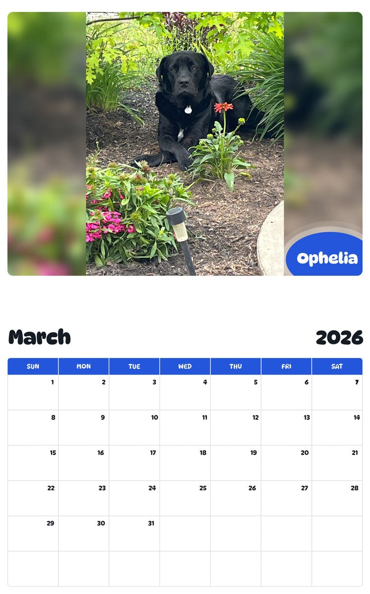 November 2025 - October 2026 Ophelia - Pawidols Pet Calendar