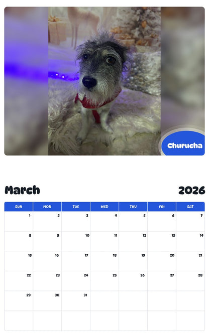 November 2025 - October 2026 Churucha - Pawidols Pet Calendar