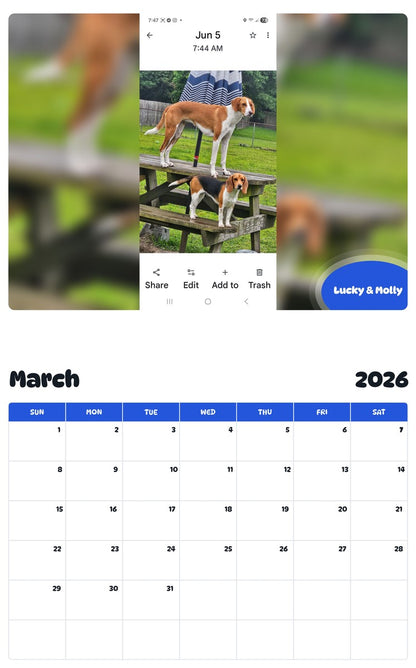 November 2025 - October 2026 Lucky & Molly - Pawidols Pet Calendar