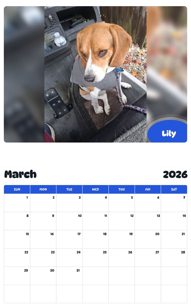November 2025 - October 2026 Lily - Pawidols Pet Calendar