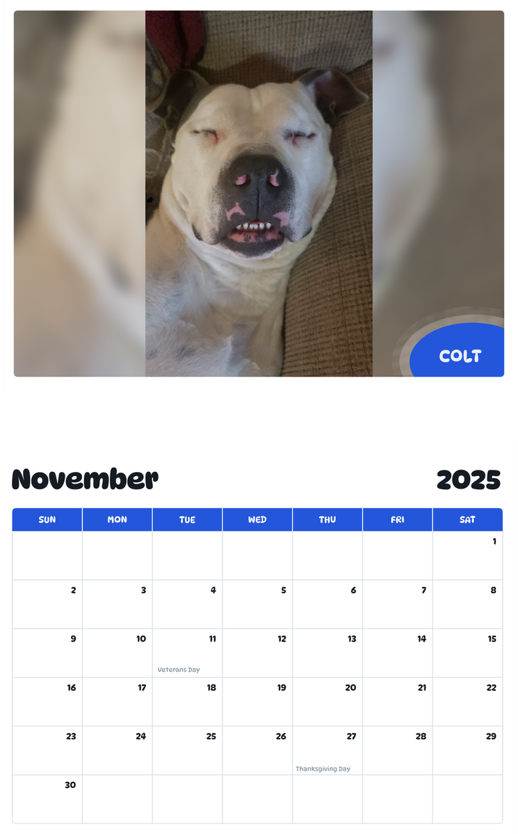 July 2025 - June 2026 Colt - Pawidols Pet Calendar