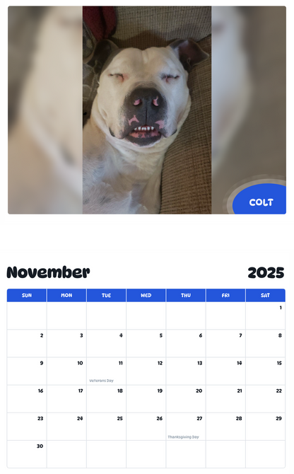 July 2025 - June 2026 Colt - Pawidols Pet Calendar