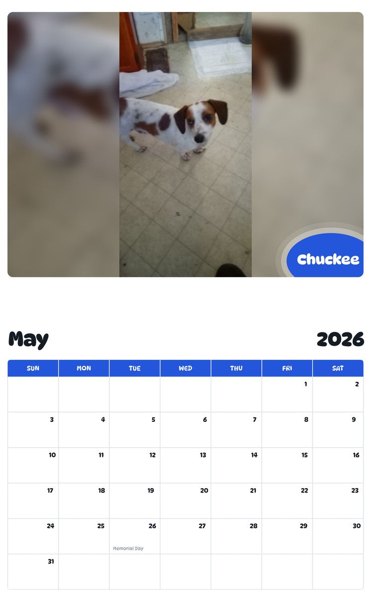 2026 - 2027 Chuckee - Pawidols Pet Calendar