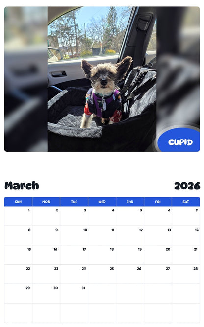 November 2025 - October 2026 CUPID - Pawidols Pet Calendar