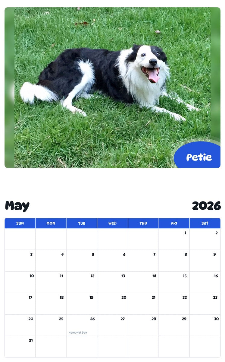 2026 - 2027 Petie - Pawidols Pet Calendar