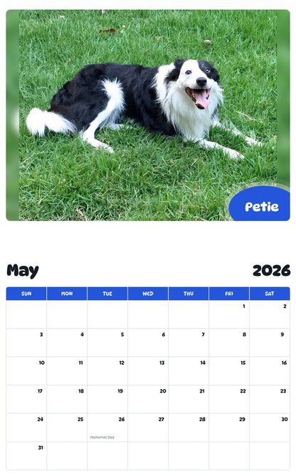 2026 - 2027 Petie - Pawidols Pet Calendar
