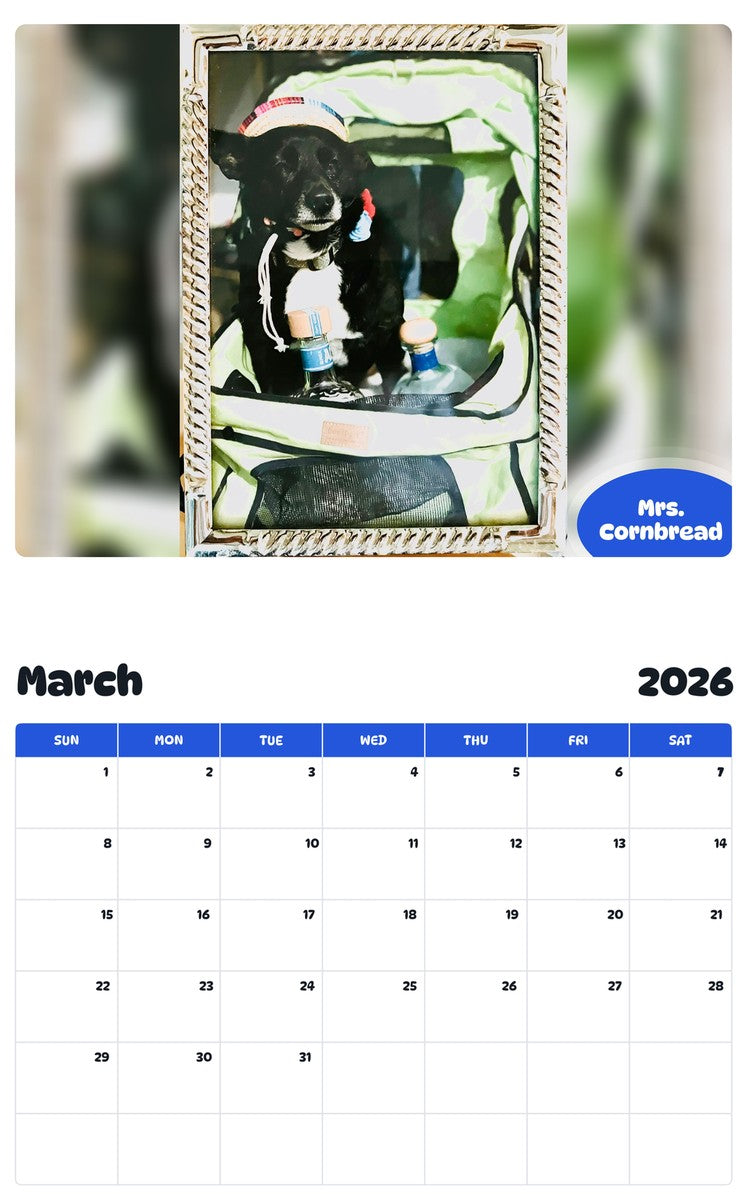 November 2025 - October 2026 Mrs. Cornbread - Pawidols Pet Calendar
