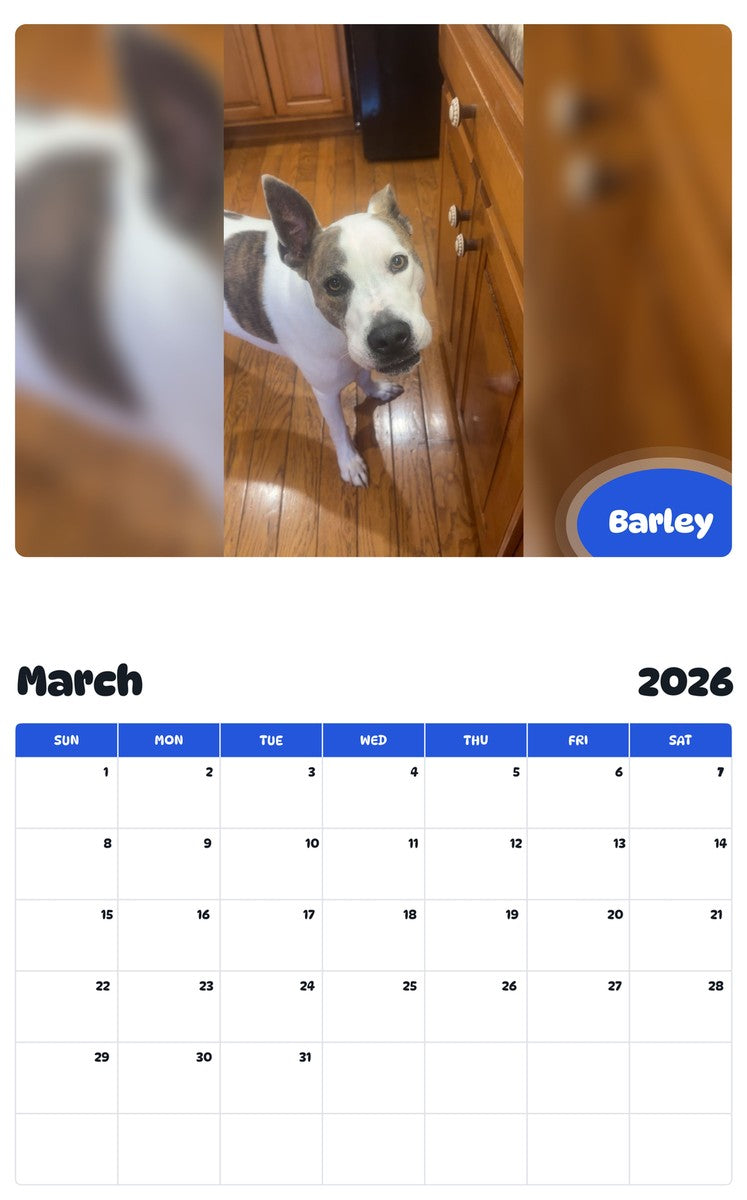 November 2025 - October 2026 Barley - Pawidols Pet Calendar