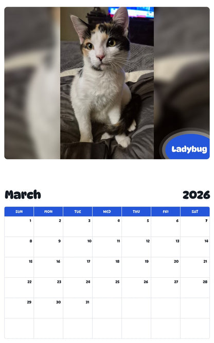 November 2025 - October 2026 Ladybug - Pawidols Pet Calendar
