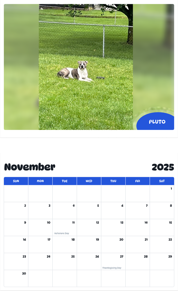 July 2025 - June 2026 Pluto - Pawidols Pet Calendar