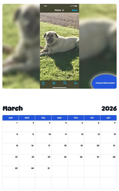 November 2025 - October 2026 Princess Willow Manlief - Pawidols Pet Calendar