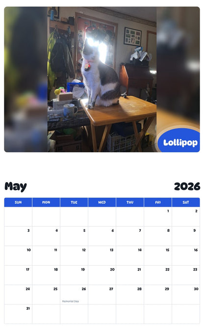 2026 - 2027 Lollipop - Pawidols Pet Calendar