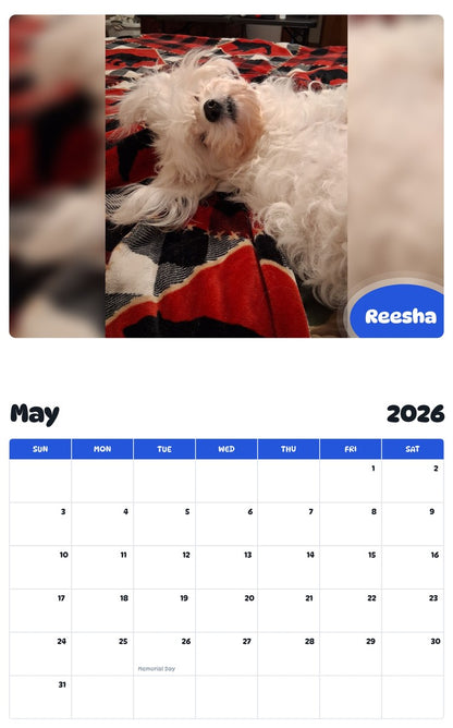 2026 - 2027 Reesha - Pawidols Pet Calendar