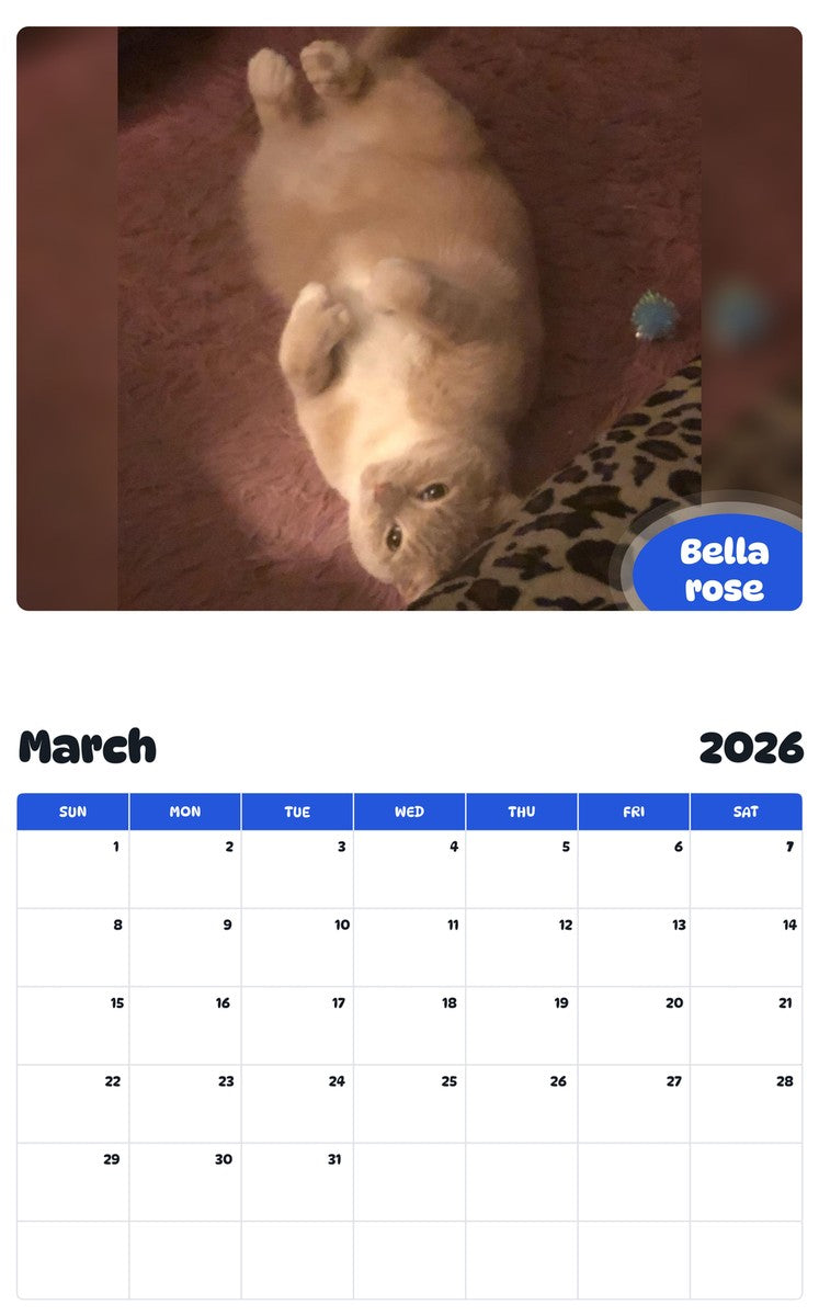 November 2025 - October 2026 Bella rose - Pawidols Pet Calendar