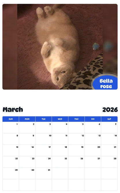 November 2025 - October 2026 Bella rose - Pawidols Pet Calendar