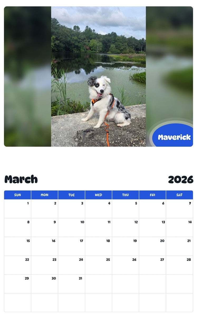 November 2025 - October 2026 Maverick - Pawidols Pet Calendar